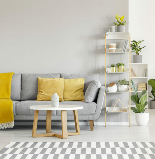 Yellow pillows and blanket on grey sofa in modern living room interior with plants and carpet. Real photo